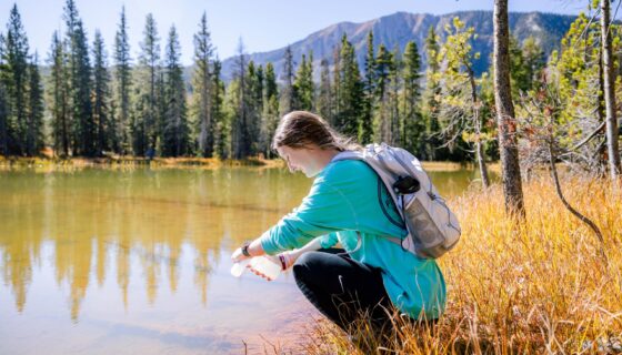 A student kneels as she collects a water sample in a pond during a chemistry class field trip.