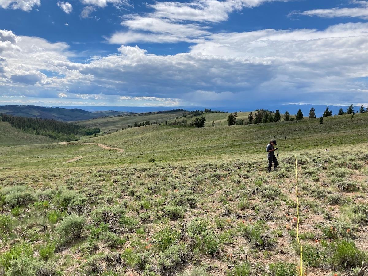 Publication proves value of Western Colorado University grad’s research