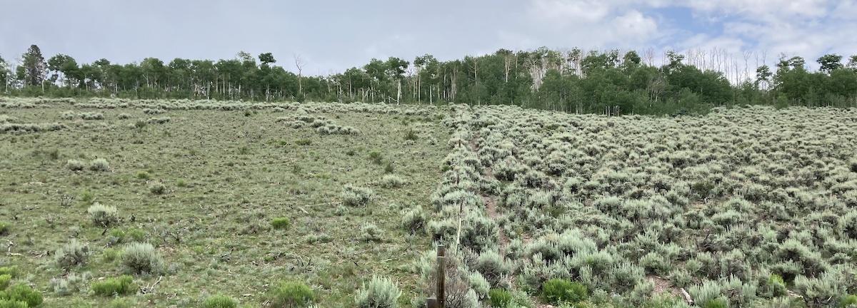 Western Colorado University