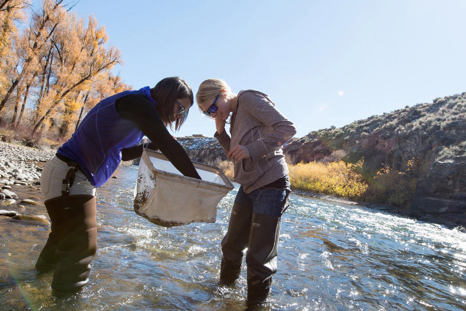 Two Ecology students study samples inside basket while wading in the Gunnison River.