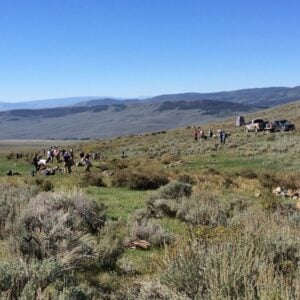 Bringing Water to the Desert