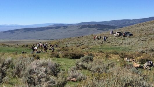 Bringing Water to the Desert