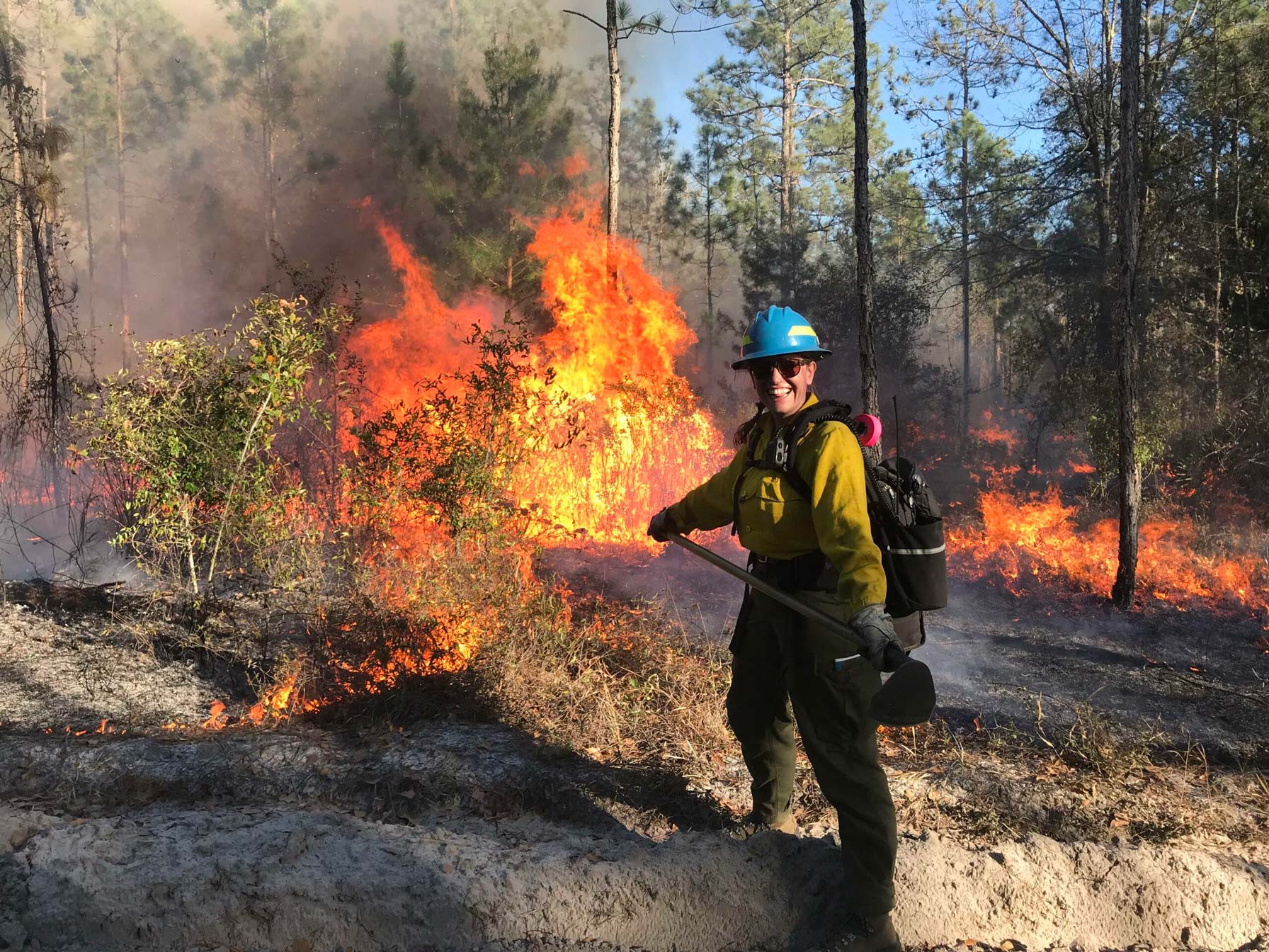 Southwestern Forests Burn Only a Fraction as Often as They Once Did. But When They Do, the Consequences are Severe