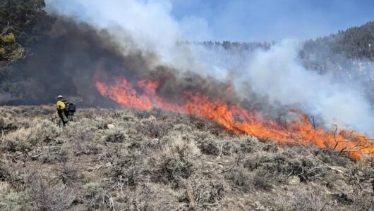 Prescribed Fire in Wilderness Research Team Honored by National USFS Award