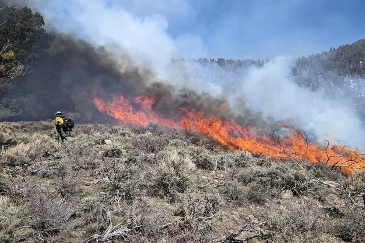 Prescribed Fire in Wilderness Research Team Honored by National USFS Award