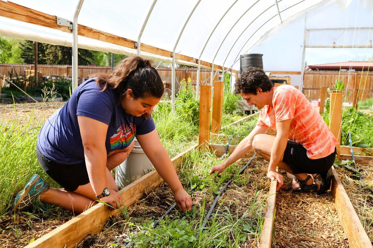 Western Earns STARS Silver Rating in Sustainability