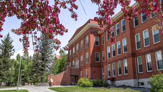 A view of Taylor Hall with cherry blossoms.