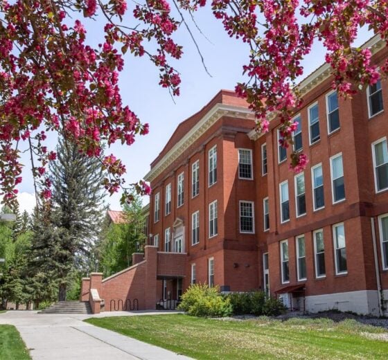 A view of Taylor Hall with cherry blossoms.