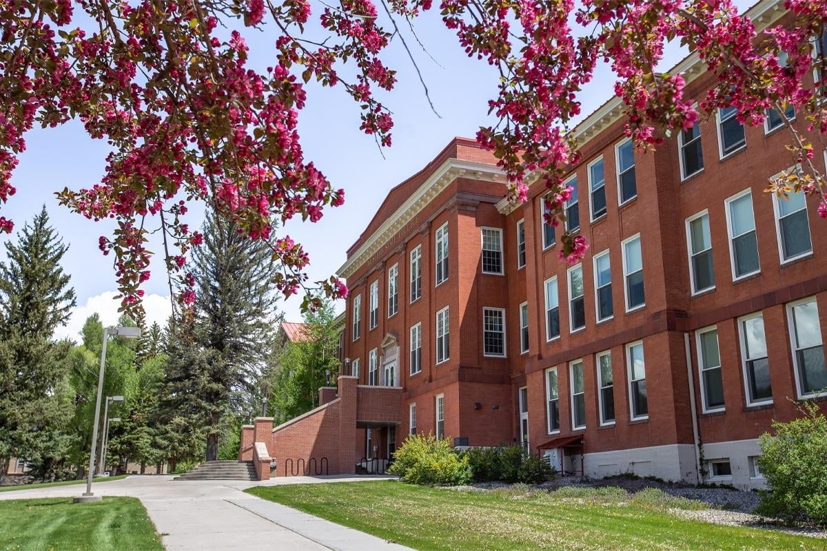 A view of Taylor Hall with cherry blossoms.