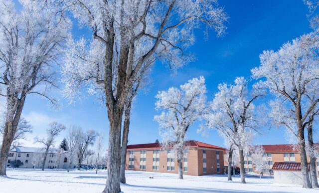 A bluebird day with frosty trees looking toward the Mears Complex on Taylor Lawn.