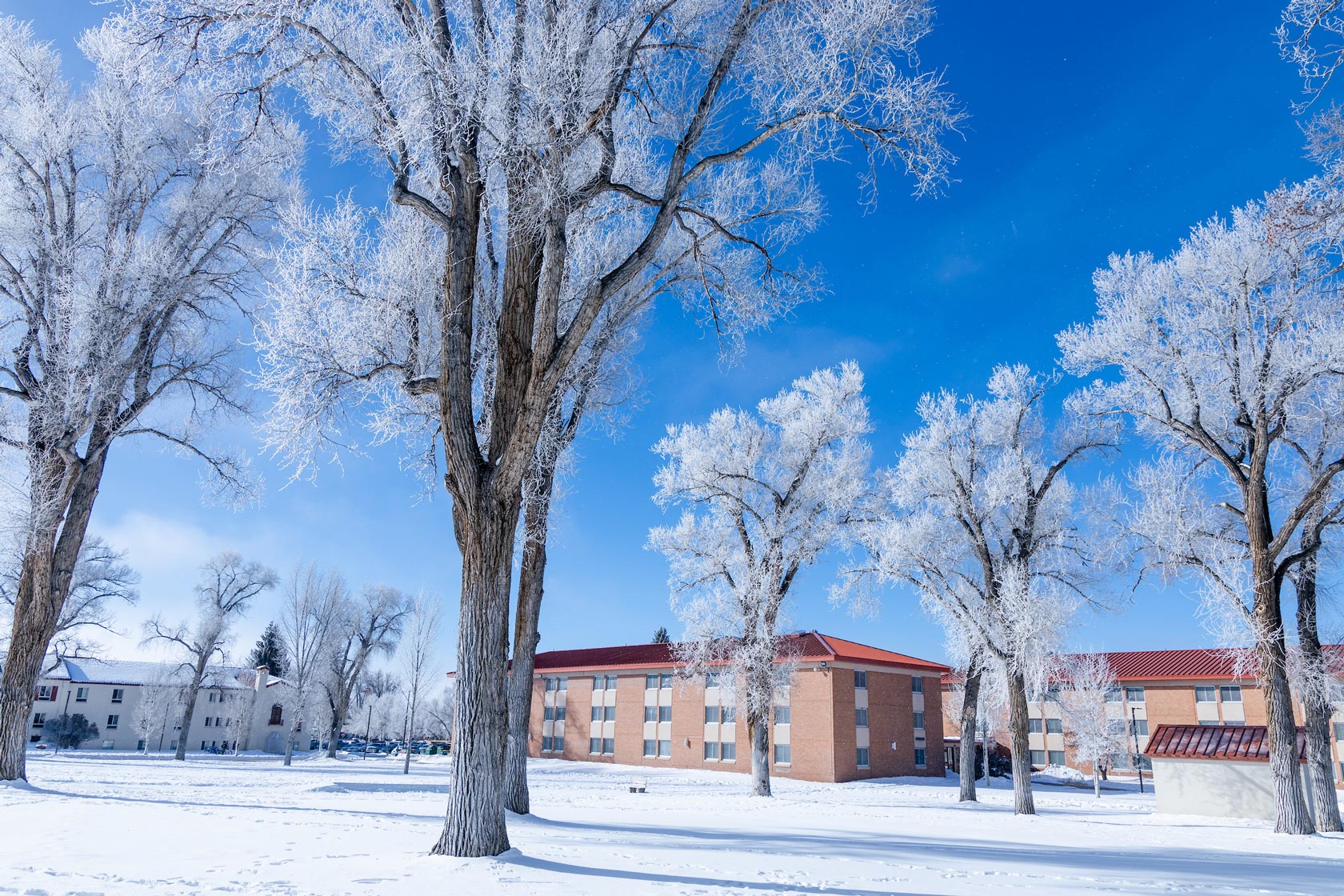 Accreditation Western Colorado University