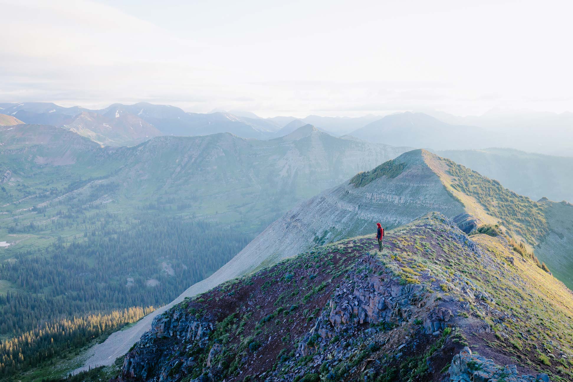 Nature Writing – MA or MFA in Creative Writing