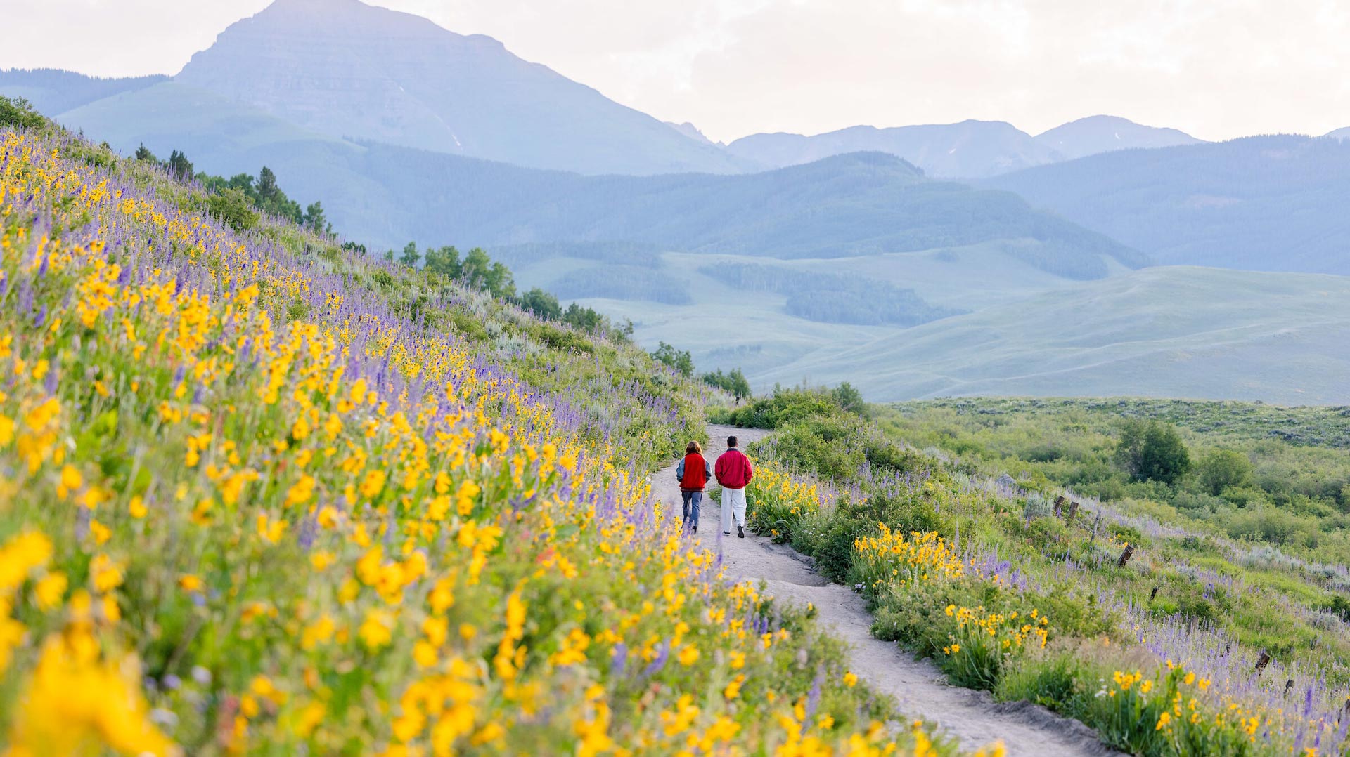 Two students wearing red jackets walk the East River Trail at sunrise during wildflower season.