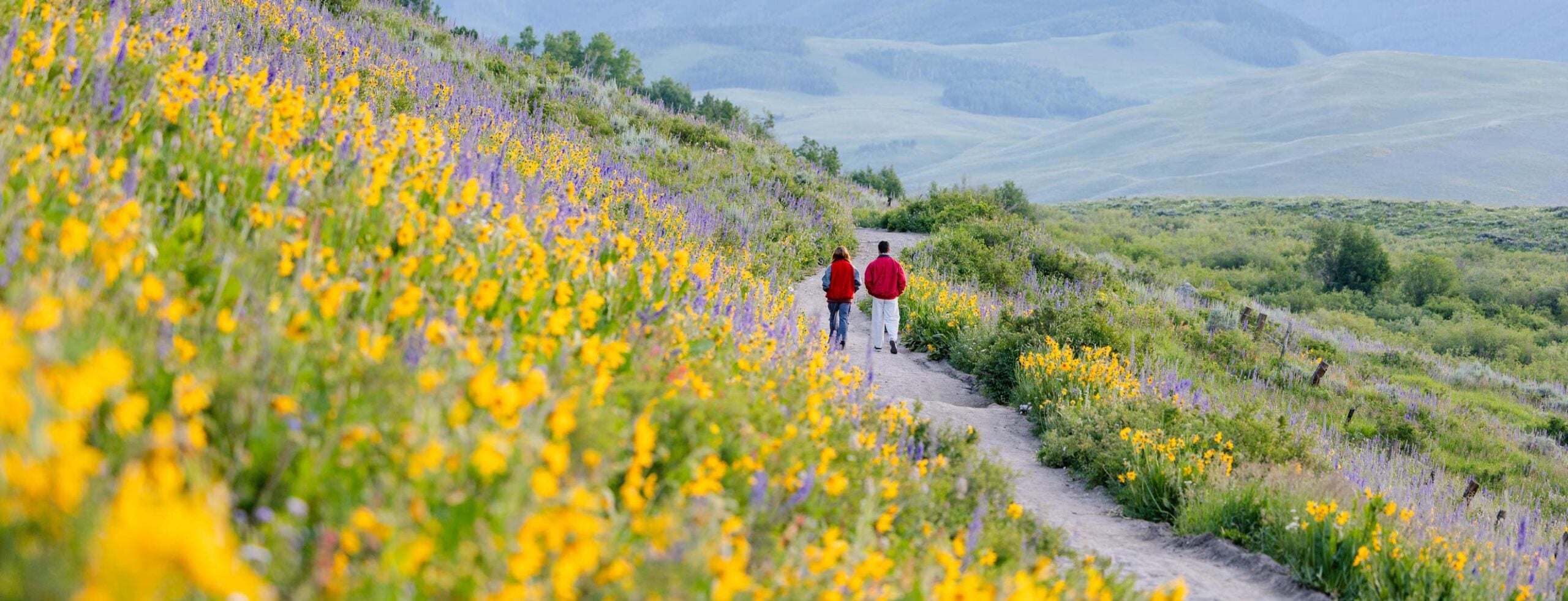 Two students wearing red jackets walk the East River Trail at sunrise during wildflower season.