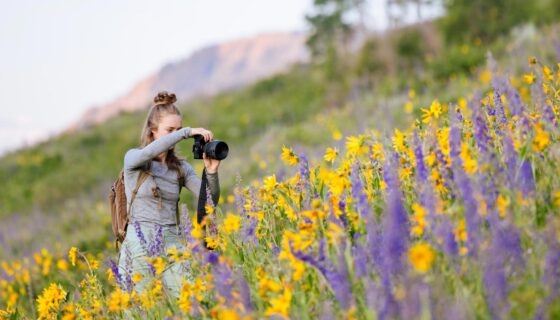 A student takes a picture of wildflowers at sunrise on the East River Trail.