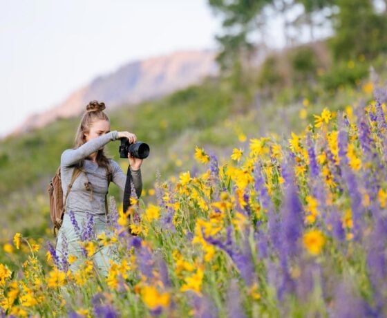 A student takes a picture of wildflowers at sunrise on the East River Trail.