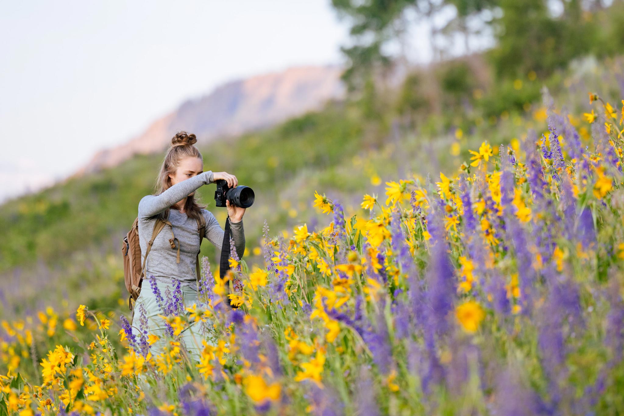 A student takes a picture of wildflowers at sunrise on the East River Trail.