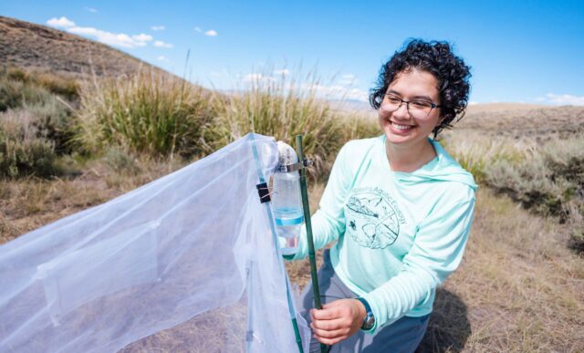 A student smiles as she sets up a bug net to collect data on insect populations in a wet meadow restoration area.
