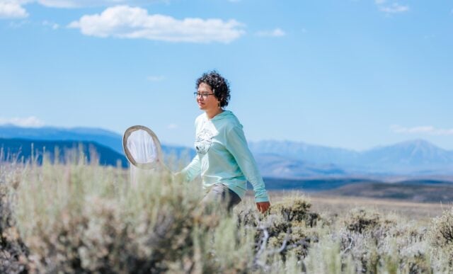 A student walks through sagebrush holding a butterfly net with big mountain views behind.