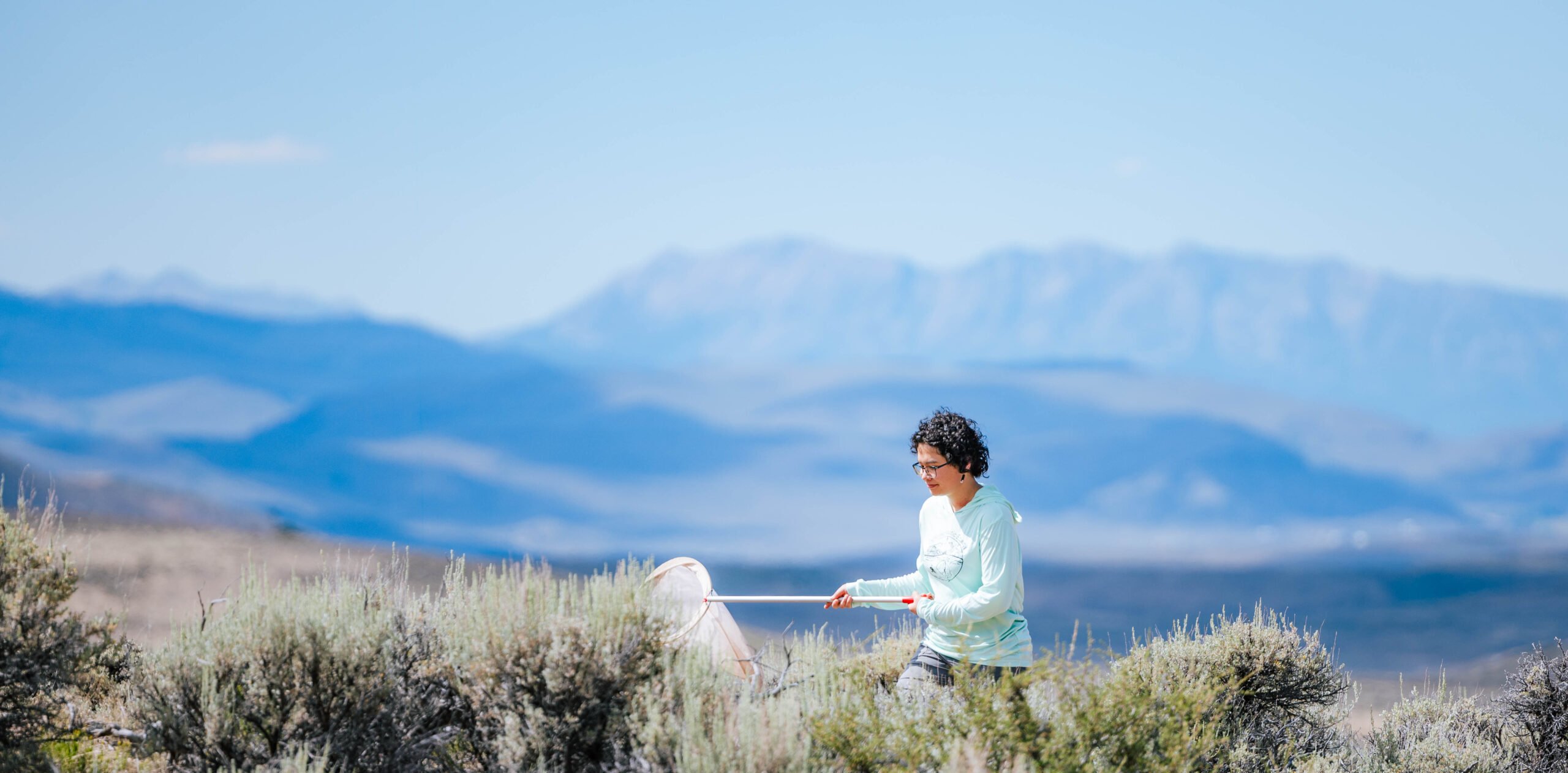 With the Anthracite mountains seen in the background, a student walks down a dirt road sweeping with a butterfly net.