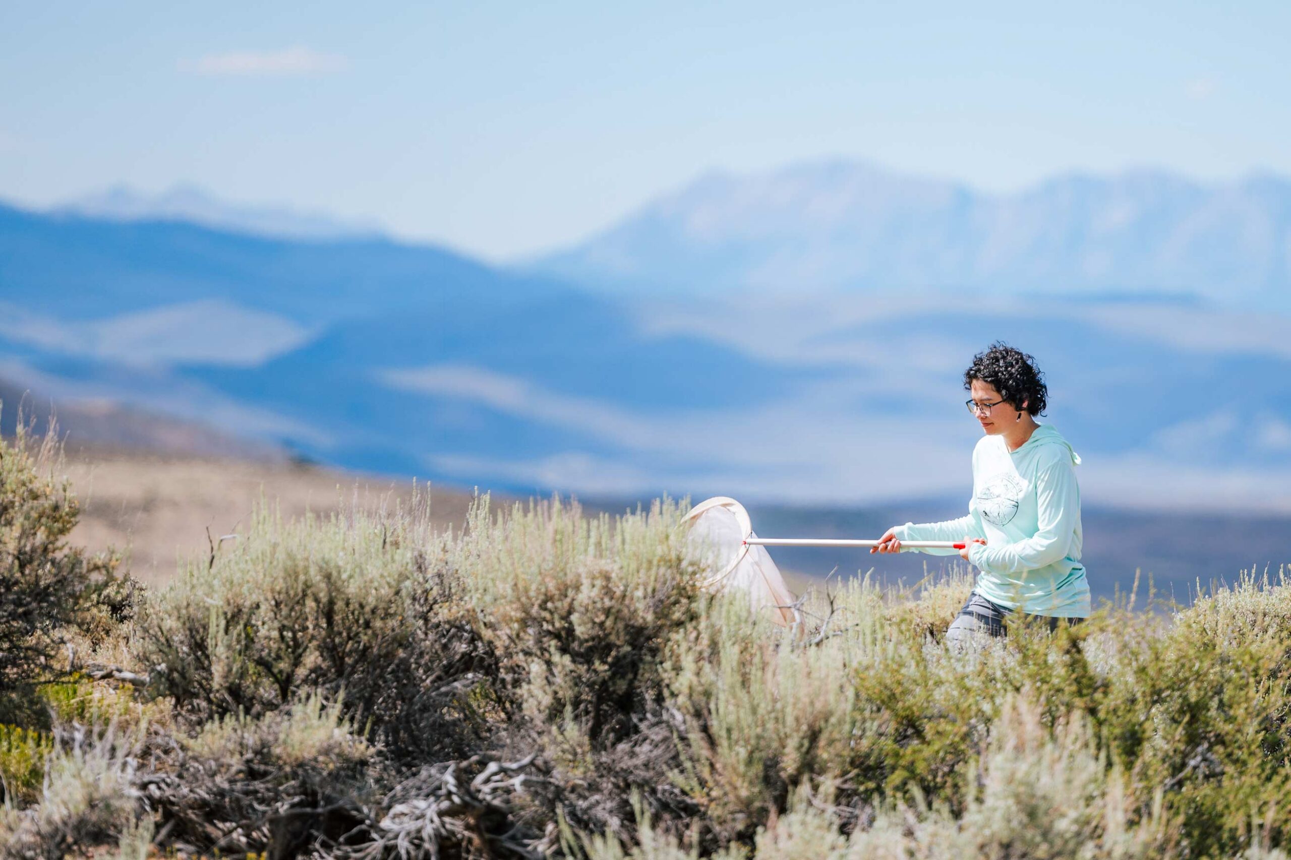 With the Anthracite mountains seen in the background, a student walks down a dirt road sweeping with a butterfly net.