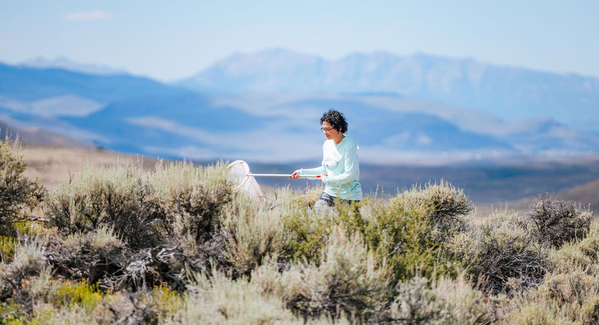 With the Anthracite mountains seen in the background, a student walks down a dirt road sweeping with a butterfly net.
