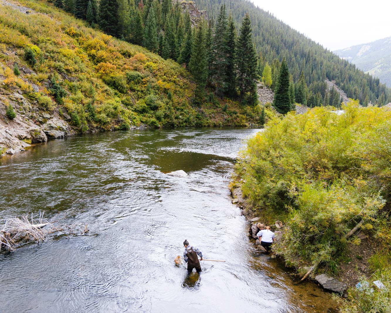 A wide landscape shot of a student collecting insect samples on the Taylor River.