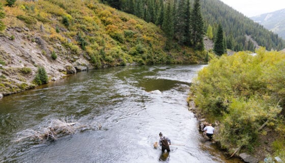A wide landscape shot of a student collecting insect samples on the Taylor River.