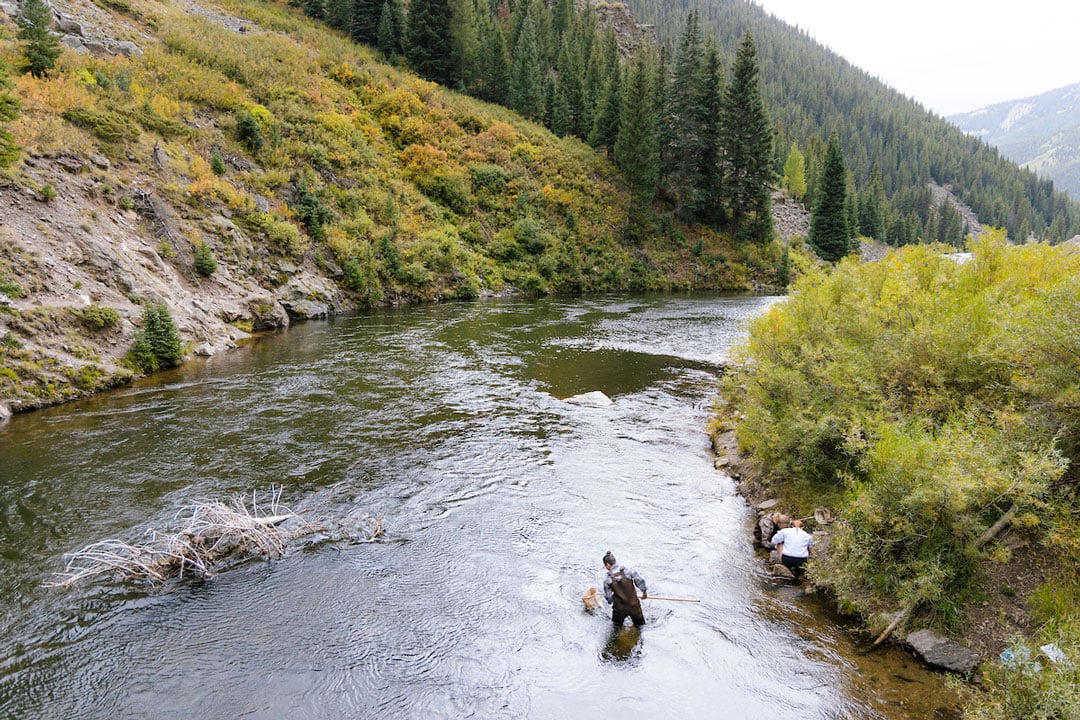 A wide landscape shot of a student collecting insect samples on the Taylor River.