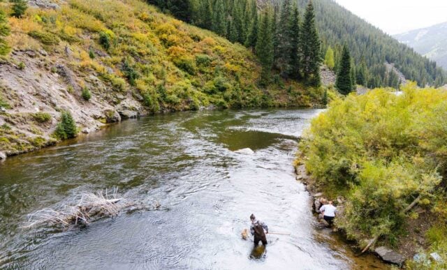 A wide landscape shot of a student collecting insect samples on the Taylor River.