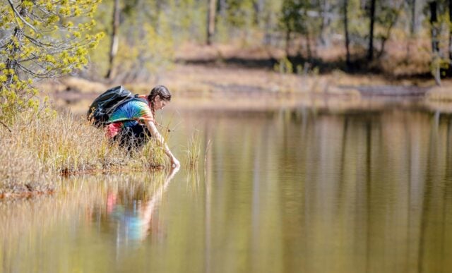 A student kneels as she collects a water sample in a pond during a chemistry class field trip.
