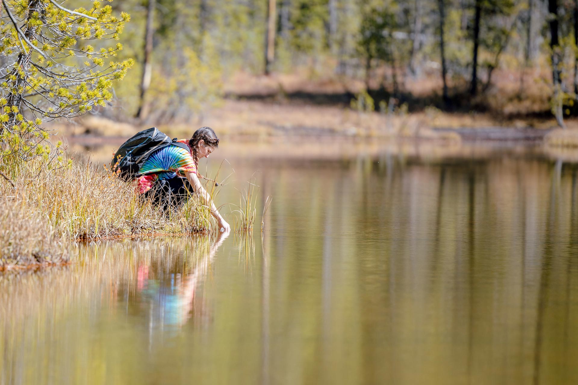 A student kneels as she collects a water sample in a pond during a chemistry class field trip.