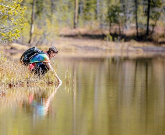 A student kneels as she collects a water sample in a pond during a chemistry class field trip.