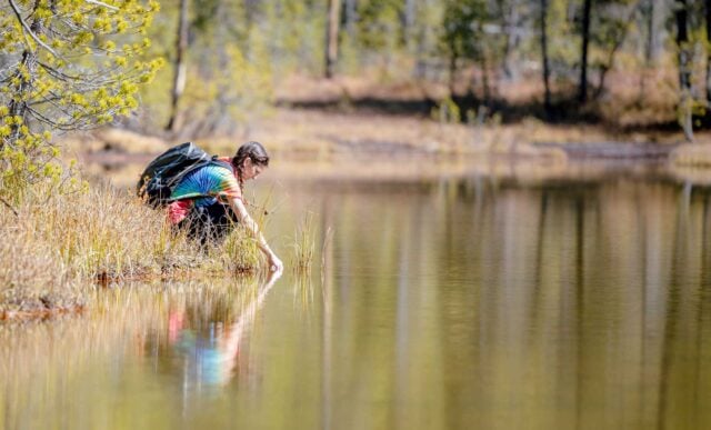 A student kneels as she collects a water sample in a pond during a chemistry class field trip.