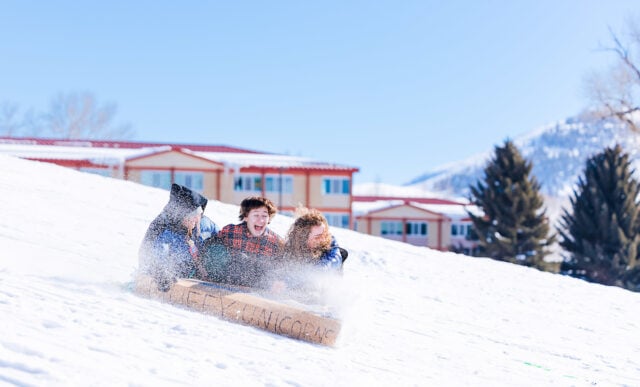 Students are sprayed with snow as they sled down the Green Monster sledding hill on a sled they made of cardboard. The Escalante Dorm Complex is seen in the background.