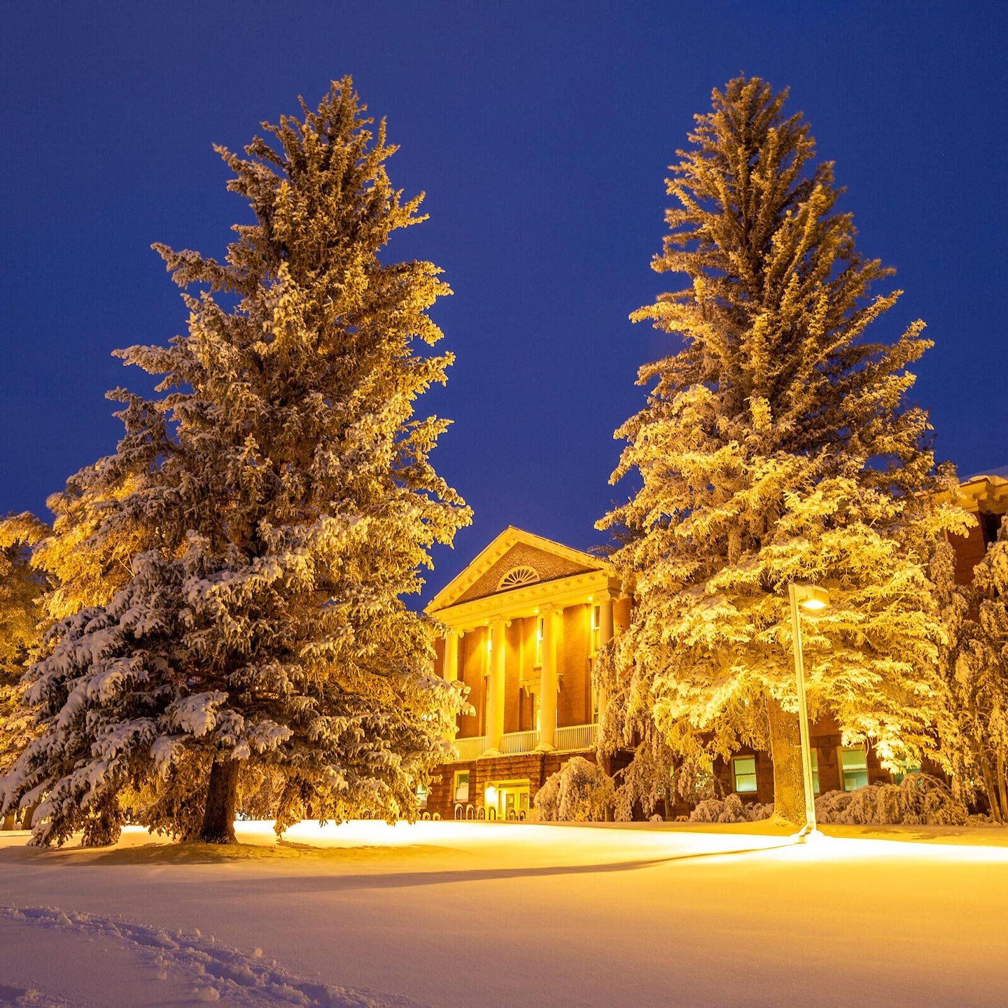 Taylor Hall glows at blue hour after a fresh snow.