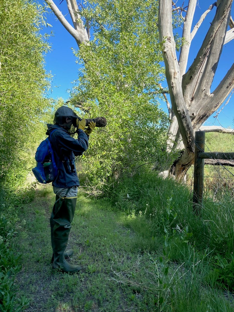 Arrow Meyers looks through his scope in a forest.