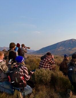 For the Birds: How Arrow Myers Is Turning a Childhood Curiosity into a Career