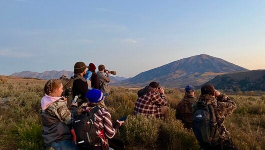 Students in the field use binoculars to observe surroundings.