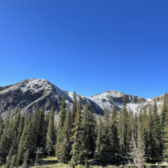 Mountain and forest view
