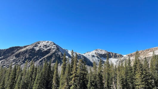 Mountain and forest view