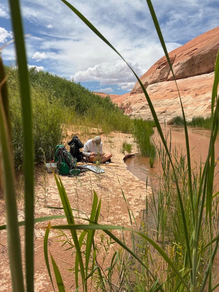 A student performs studies by the river.