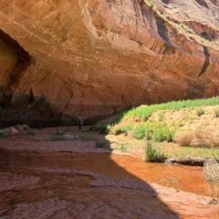 Students research on the river bank.