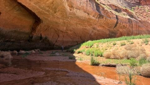 Students research on the river bank.
