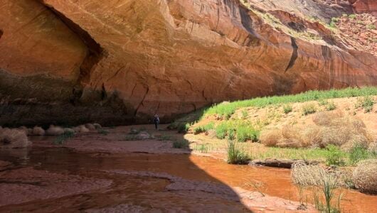 Students research on the river bank.