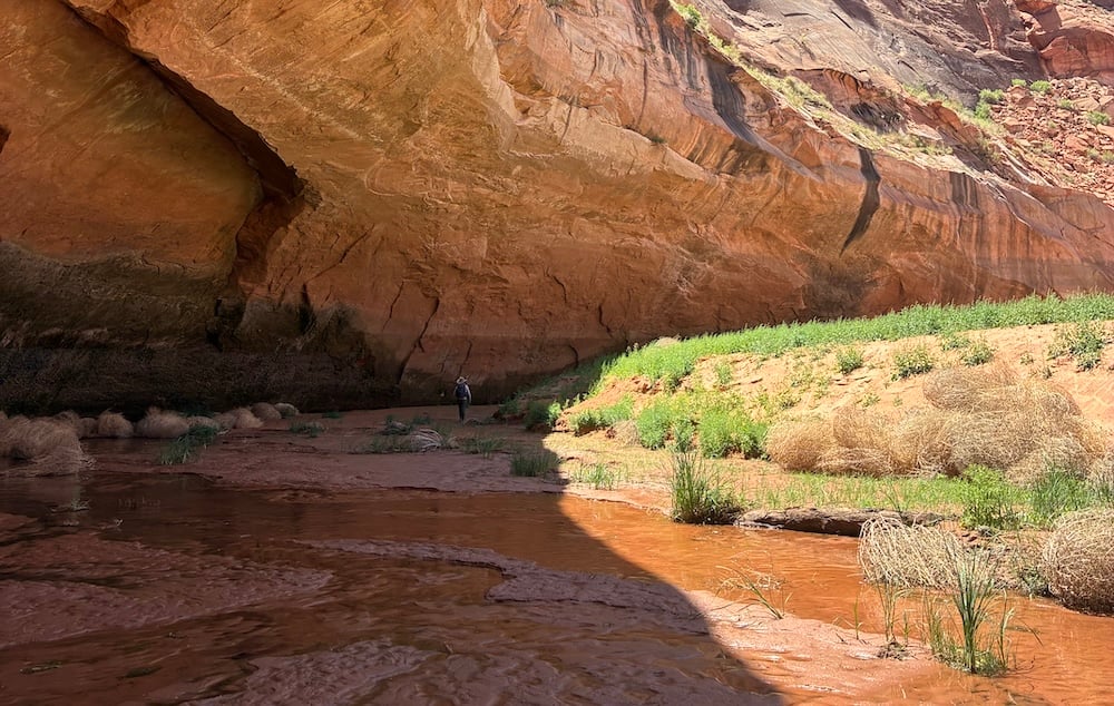 Students research on the river bank.