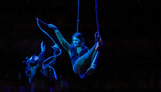 Under blue stage lighting, a smiling aerial performer on a trapeze reaches toward a costumed figure on the ground who is handing them a rope.