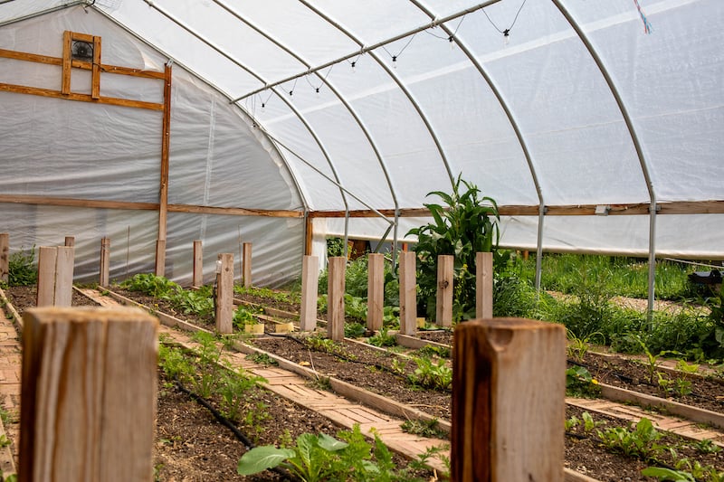 The greenhouse in the Chipeta garden