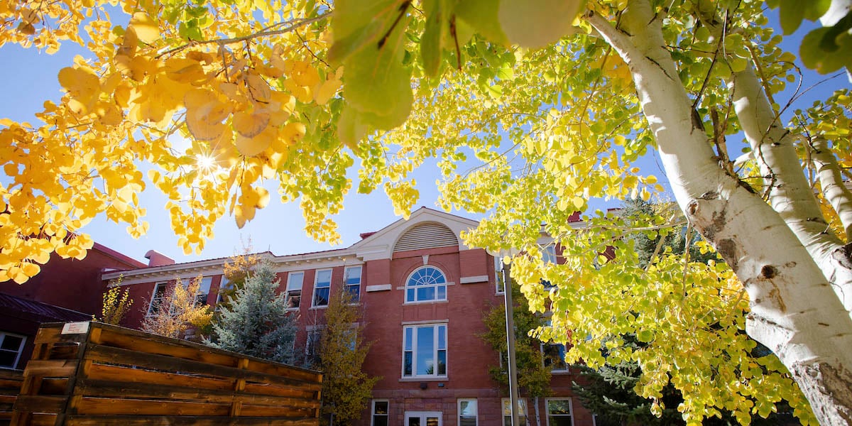 A wide photo of the northeast entrance to Taylor Hall with branches of golden aspen leaves hanging in the top of the frame.