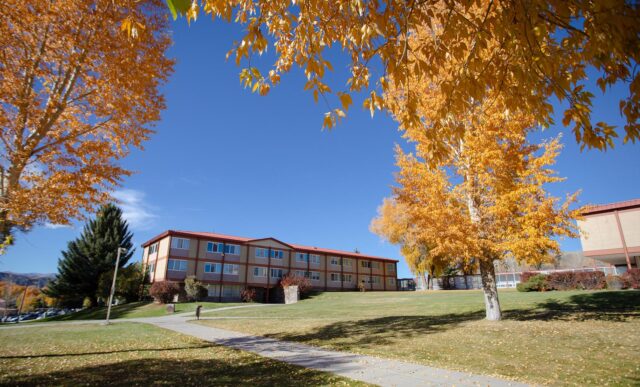 A wide photo of Colorado Hall from the lawn with a cottonwood branch covered in orange leaves hanging in the top of the frame.
